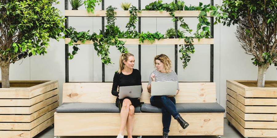 person, adult, female, woman, laptop, shoe, sitting, plant, bench, interior design