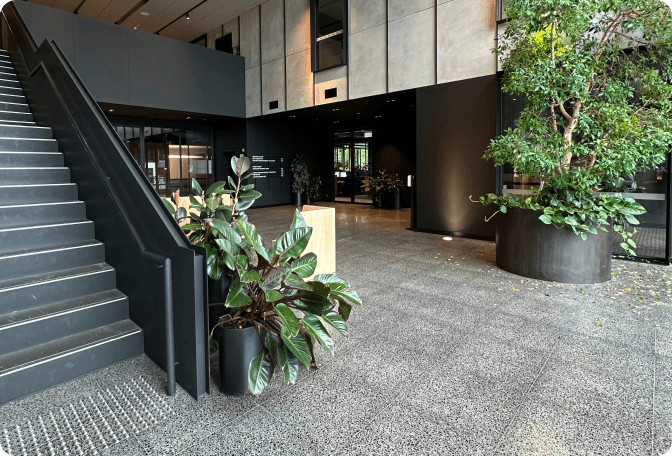 floor, architecture, building, foyer, indoors, plant