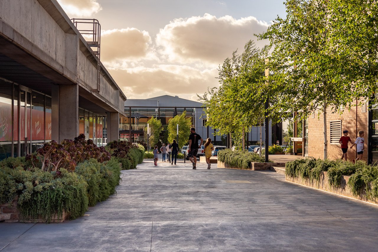 person, walking, city, street, urban, neighborhood, grass, campus, tree, path