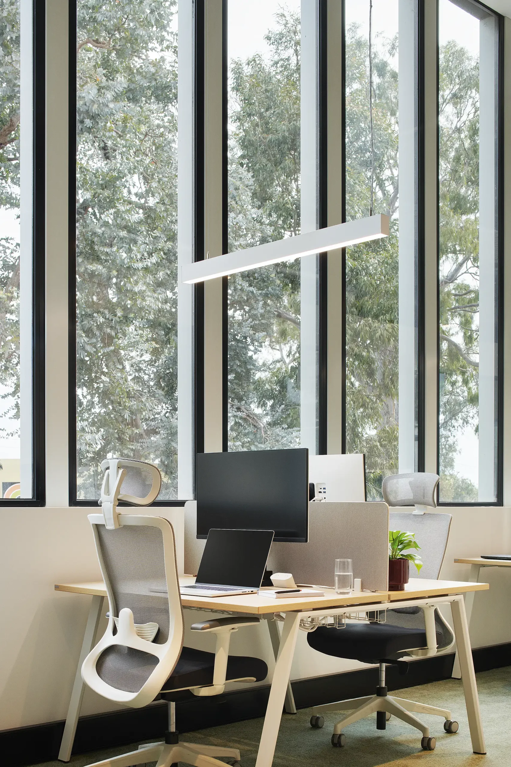 plant, furniture, indoors, chair, table, desk, cup, laptop, monitor, office