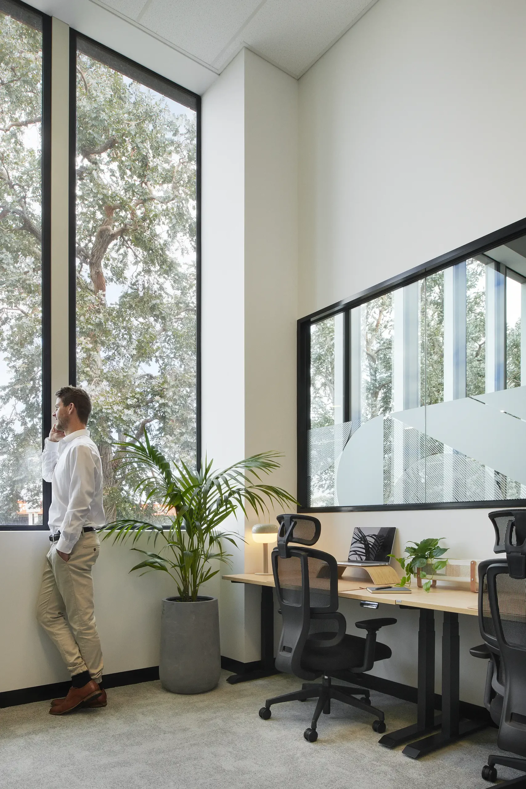 plant, furniture, table, chair, adult, male, man, person, indoors, desk