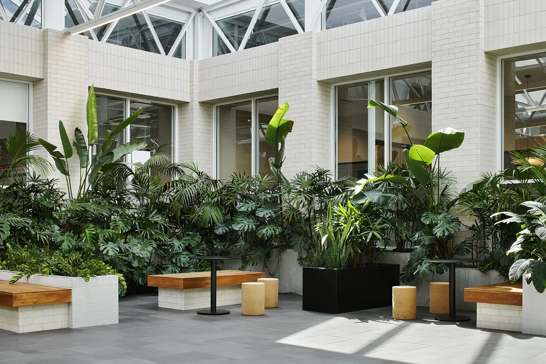 plant, potted plant, jar, planter, garden, nature, outdoors, bench, interior design, vegetation